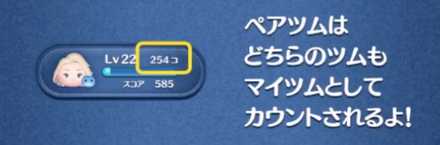 ペアツムの特徴3