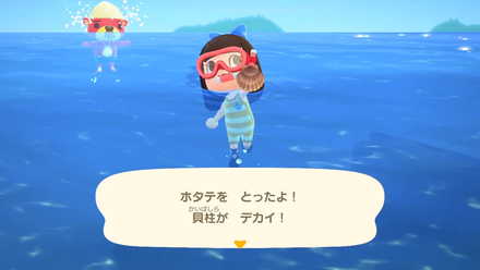 海の幸をゲット