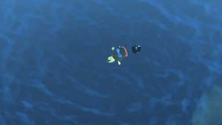 潜る前になるべく近づこう