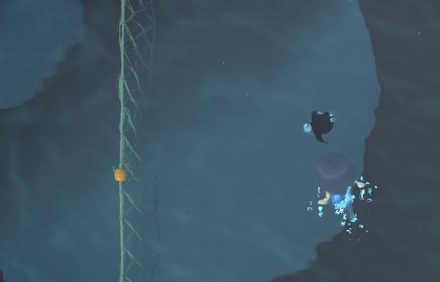 逃げ足の速いものは隅に追い込もう