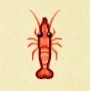 動森攻略:2月活動|2月海洋生物、魚類、昆蟲圖鑑整理(北半球)