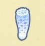 動森攻略:2月活動|2月海洋生物、魚類、昆蟲圖鑑整理(北半球)