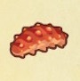 動森攻略:2月活動|2月海洋生物、魚類、昆蟲圖鑑整理(北半球)