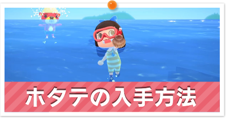 ホタテの入手方法