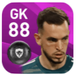 FPギリェルミ(7/6)