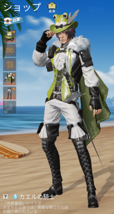 カエルの騎士画像