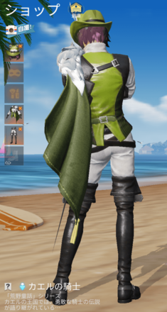 カエルの騎士画像