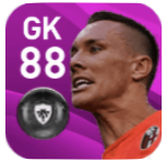 FPウカシュ・スコルプスキ(7/9)の画像