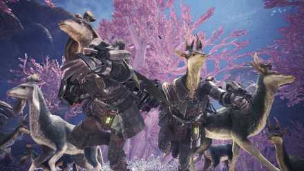 ライトパールはつぶらな瞳の開催日