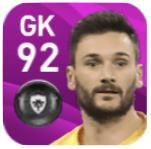 FPウーゴ・ロリス(7/13)の画像