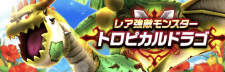 トロピカルドラゴ