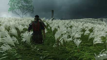 ゴーストオブツシマの裾野原の石碑