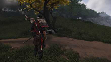 ゴーストオブツシマの狐の巣2