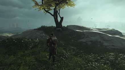 ゴーストオブツシマの狐の巣4