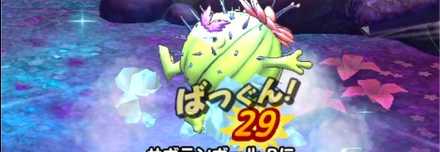 サボテンダーを倒す