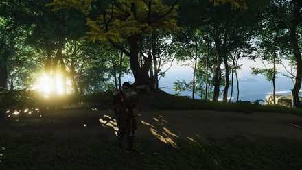 ゴーストオブツシマの狐の巣9