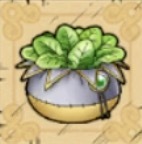 スタミナ草画像