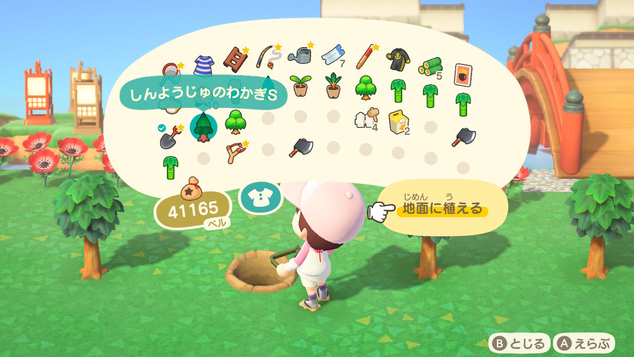 あつ森 若木 中木 の育て方 成長の止め方 あつまれどうぶつの森 ゲームエイト あつ森 若木 中木 の育て方 成長の止め方 あつまれどうぶつの森 ゲームエイト