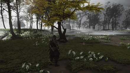 ゴーストオブツシマの狐の巣24