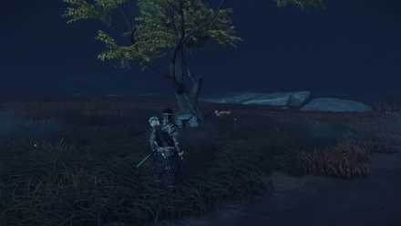 ゴーストオブツシマの狐の巣26