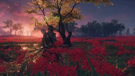 ゴーストオブツシマの狐の巣27