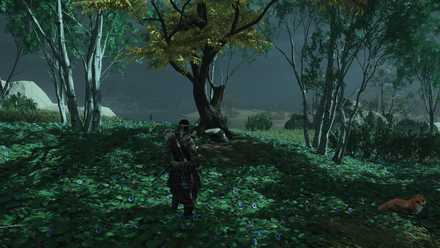 ゴーストオブツシマの狐の巣30