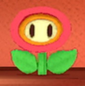 ファイアフラワー画像