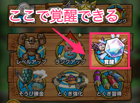 覚醒結晶の使い方