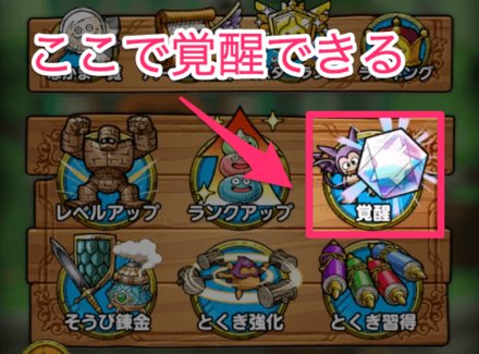 覚醒結晶の使い方