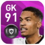 FPアルバン・ラフォン(7/27)の画像