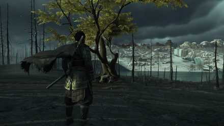 ゴーストオブツシマの狐の巣40