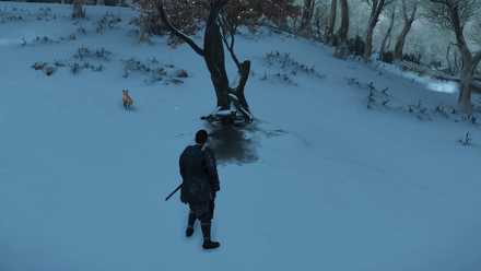 ゴーストオブツシマの狐の巣45