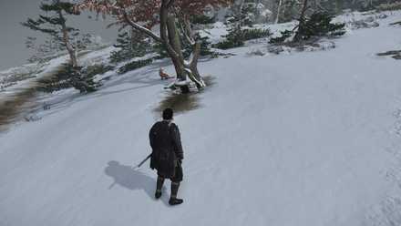 ゴーストオブツシマの狐の巣48