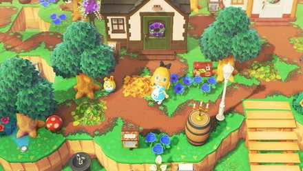 おもち島の画像