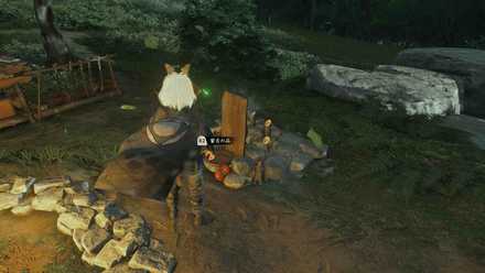 ゴーストオブツシマのセイヨウネズ