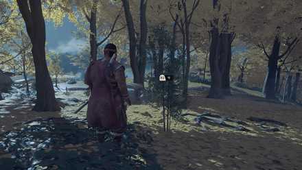 竹を山野で入手