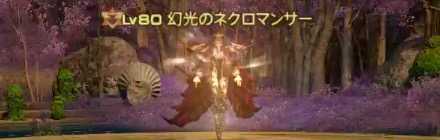 幻光のネクロマンサー