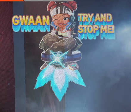 スキン13の画像