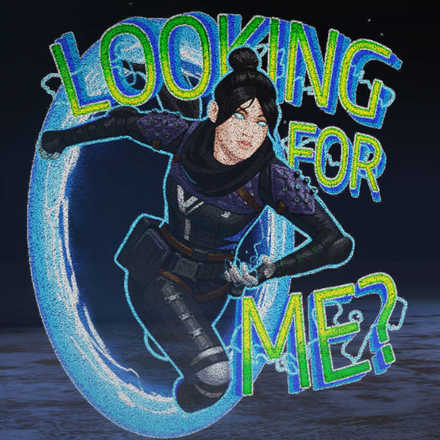 スキン19の画像