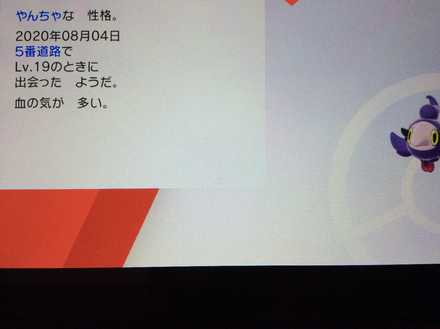 コメント画像