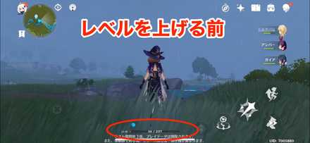 レベルを上げる前の画像