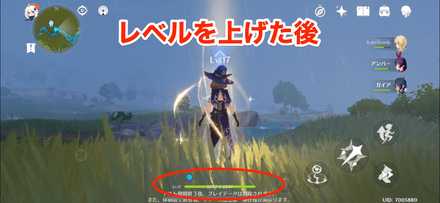 レベルを上げた後の画像