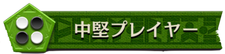 中堅プレイヤーバナー画像