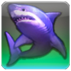 クラウドシャーク