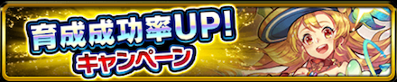 育成成功率UPキャンペーン