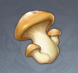 Image of mushrooms