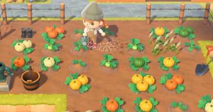 水を上げるとたくさん育つ