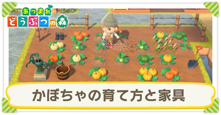 あつ森】かぼちゃの植え方とレシピ一覧｜収穫後の使い道【あつまれ 