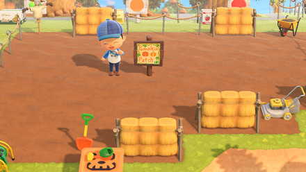 Pumpkin Patchの画像