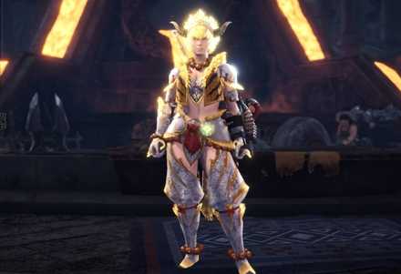 MHWのEX斉天βの重ね着